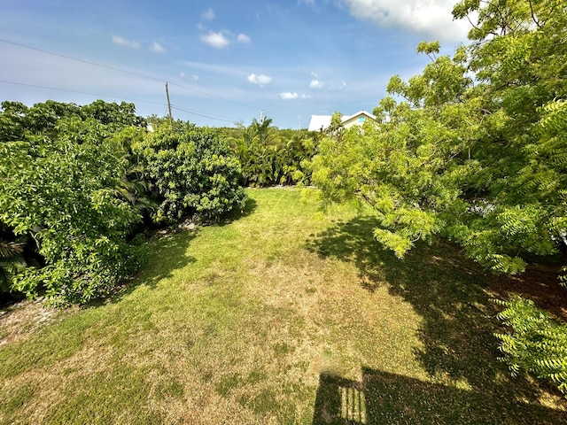 19749 Date Palm Dr, Sugarloaf, FL 33042 - view of yard