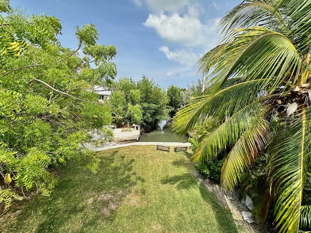19749 Date Palm Dr, Sugarloaf, FL 33042 - view of yard