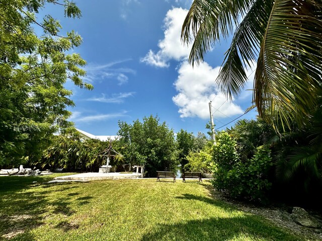19749 Date Palm Dr, Sugarloaf, FL 33042 - view of yard