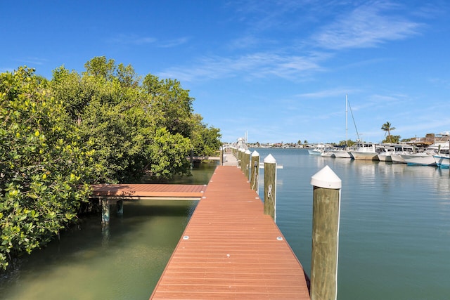 dock area featuring a water view