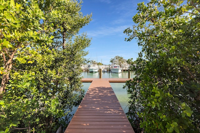 view of dock with a water view