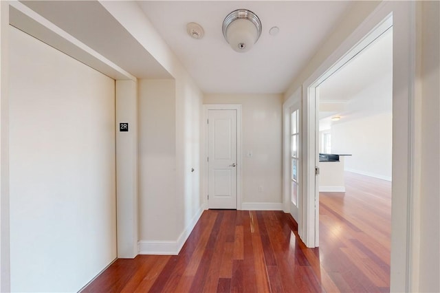 hall with dark wood-type flooring