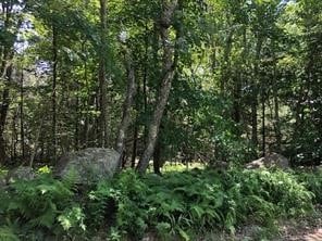 0 Spring Grove Rd, Glocester RI, 02814 land for sale