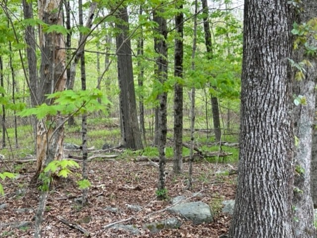 0 Evans Rd, Glocester RI, 02814 land for sale