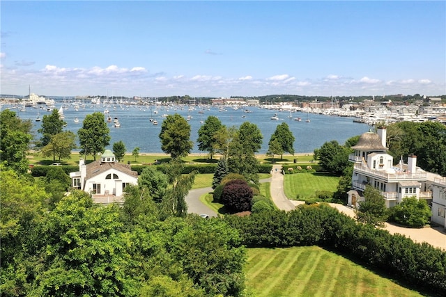 drone / aerial view with a water view