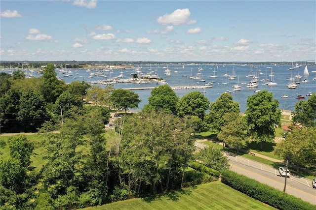 birds eye view of property with a water view