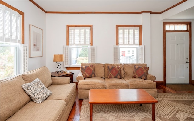 living room with wood-type flooring, plenty of natural light, and crown molding