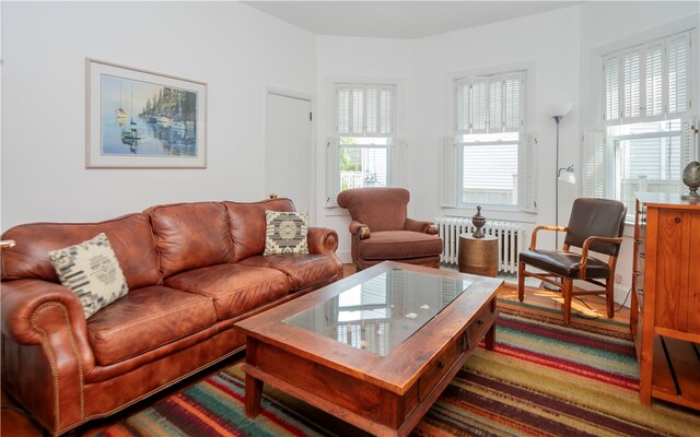 living room featuring radiator heating unit and wood-type flooring