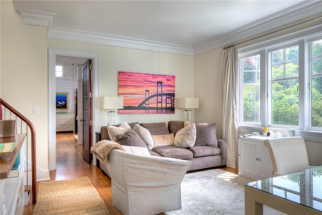 living room featuring crown molding, hardwood / wood-style floors, and a wealth of natural light