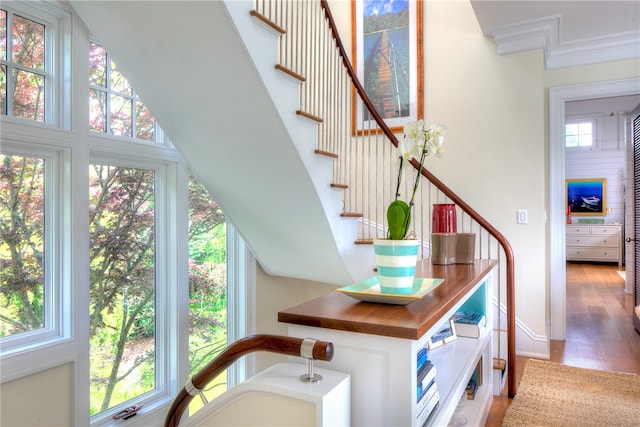 stairs featuring a healthy amount of sunlight and hardwood / wood-style flooring