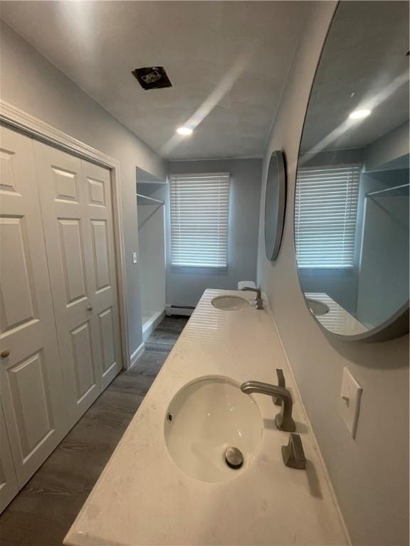 bathroom with vanity, hardwood / wood-style floors, and baseboard heating