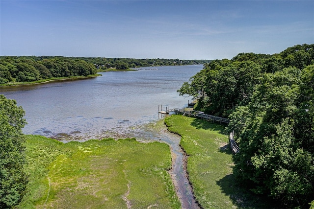 property view of water featuring a boat dock