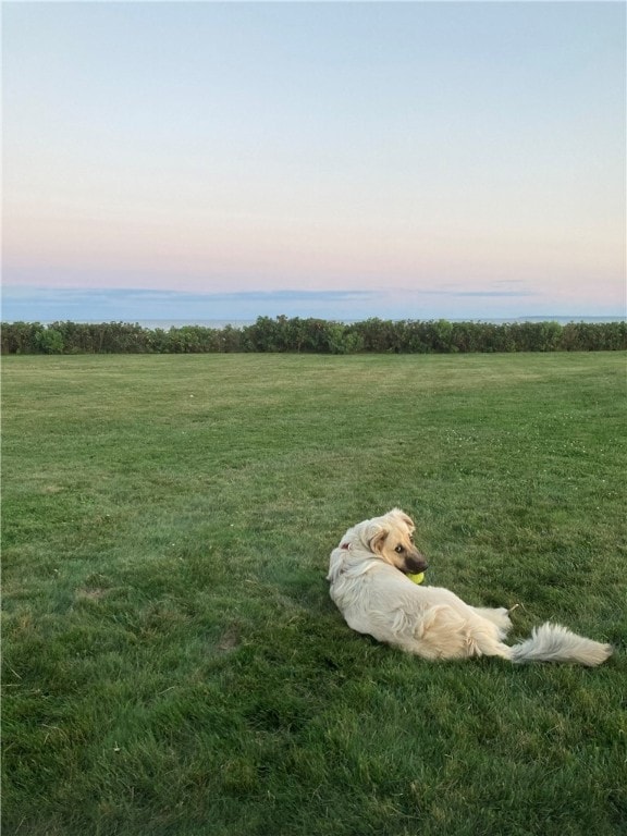 yard at dusk featuring a water view