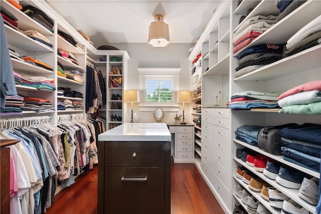 walk in closet with dark hardwood / wood-style floors