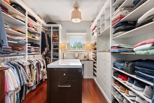 spacious closet featuring dark wood-style floors