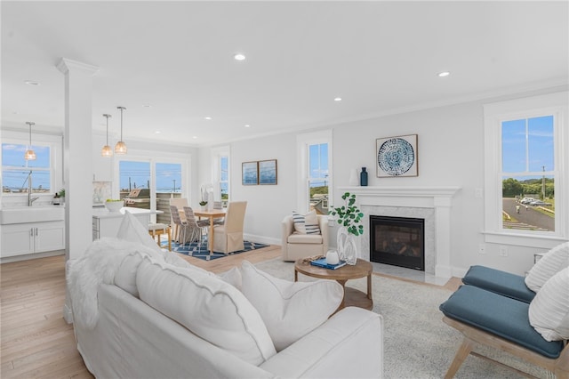 living room with crown molding, a premium fireplace, and light hardwood / wood-style floors