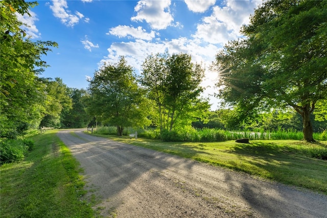 441 W Main Rd, Little Compton, RI 02837 - photo 45