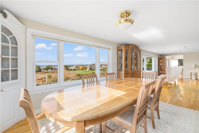 dining area featuring light hardwood / wood-style floors