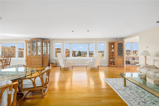 living room featuring plenty of natural light and light hardwood / wood-style floors