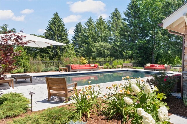 view of swimming pool with a patio and an outdoor hangout area