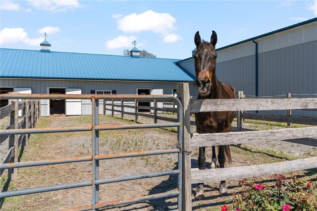 view of horse barn