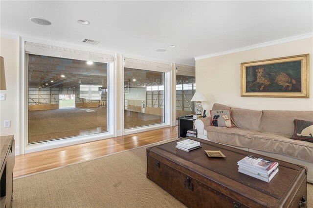 living room featuring light hardwood / wood-style flooring, a wealth of natural light, and crown molding