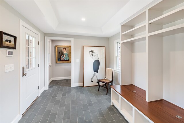 interior space featuring a tray ceiling and plenty of natural light