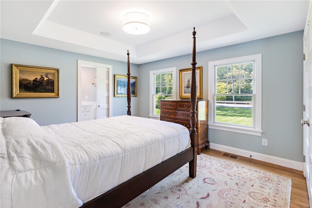 bedroom with light hardwood / wood-style flooring and a raised ceiling