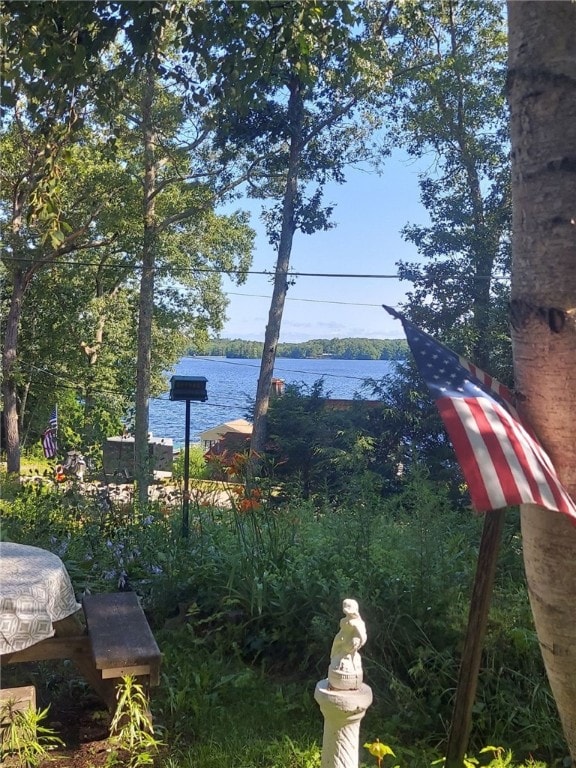 view of yard with a water view