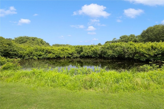 681 Corn Neck Rd, Block Island, RI 02807 - view of nature with a large body of water