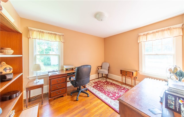 office area with hardwood / wood-style flooring