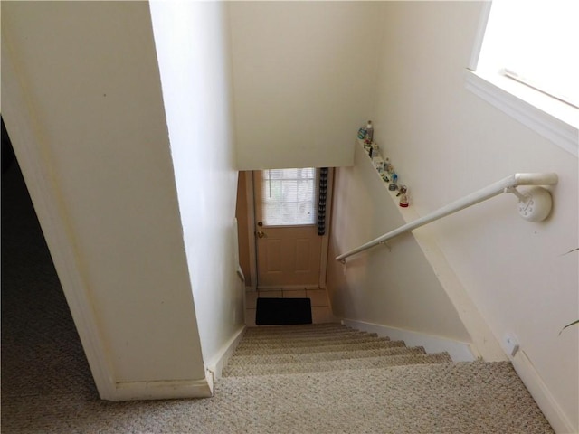 stairway with carpet flooring