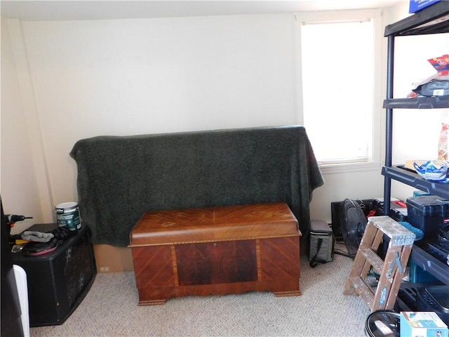 living area featuring carpet flooring