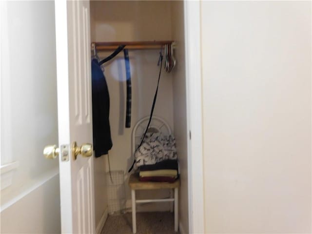 view of closet