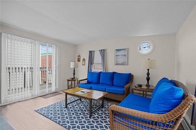 living room with hardwood / wood-style flooring