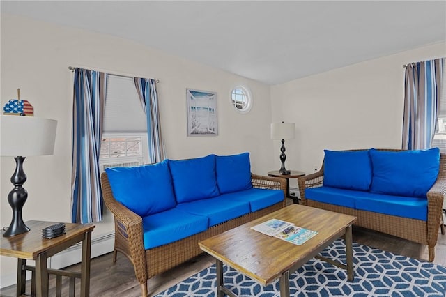 living room with hardwood / wood-style floors