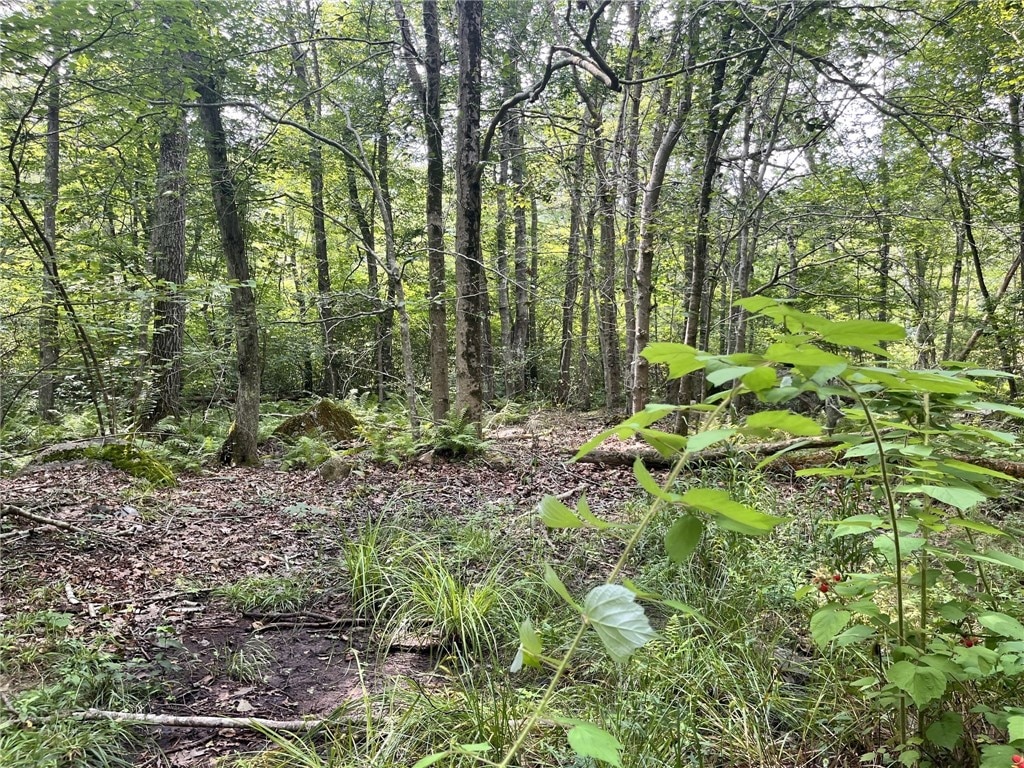 86 Colebrook Ln, Little Compton, RI 02837 - photo 1