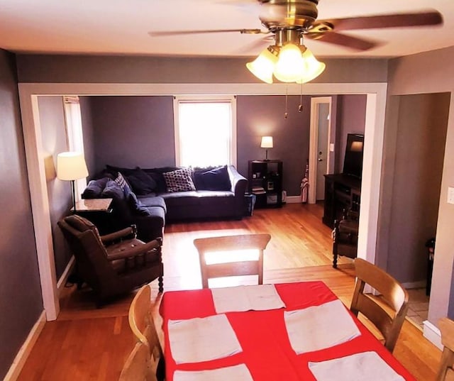 dining room with ceiling fan and light wood-type flooring