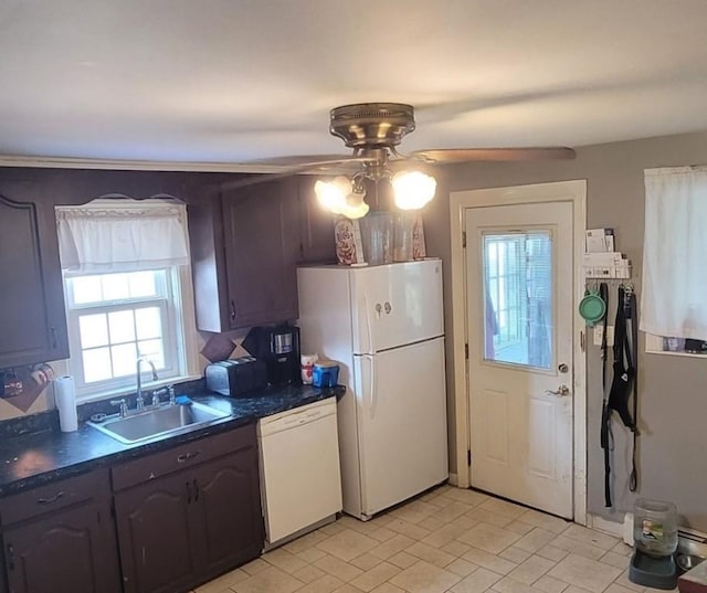 kitchen with ceiling fan, dark brown cabinets, sink, and white appliances