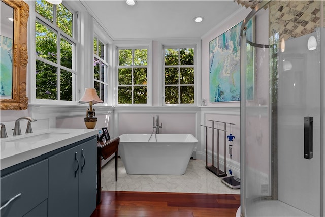 bathroom with wood-type flooring, vanity, plus walk in shower, and a healthy amount of sunlight