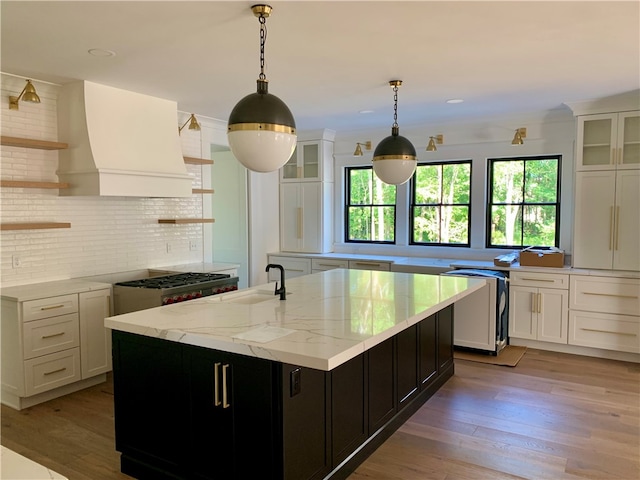 kitchen featuring a healthy amount of sunlight, decorative backsplash, premium range hood, and light hardwood / wood-style floors