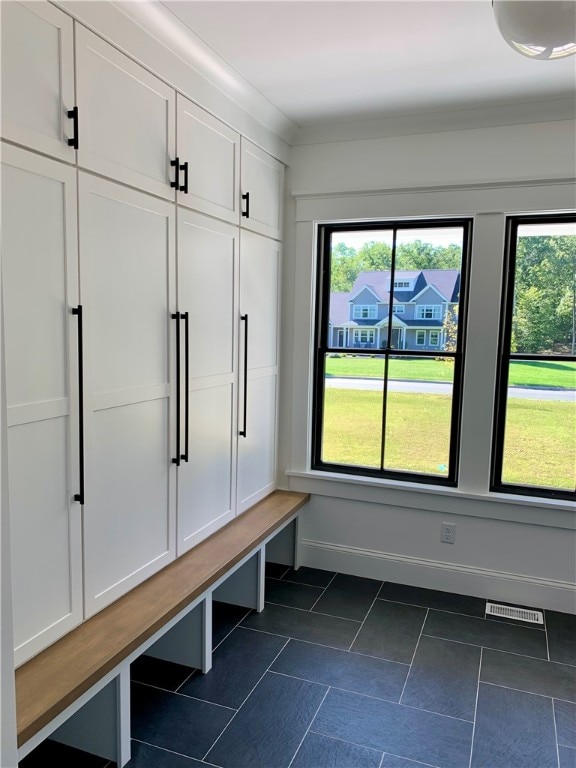 mudroom with dark tile patterned flooring and a wealth of natural light