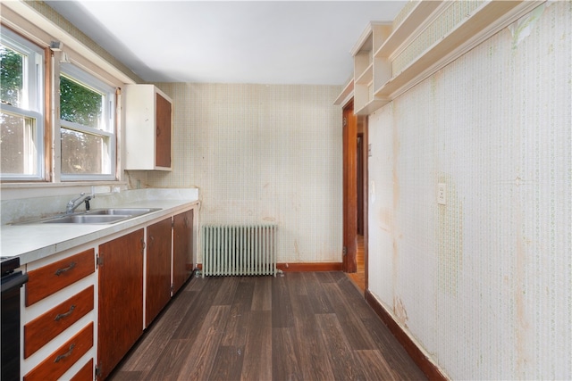 kitchen with radiator, dark hardwood / wood-style flooring, sink, and range