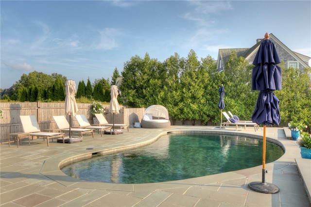 view of swimming pool with a patio