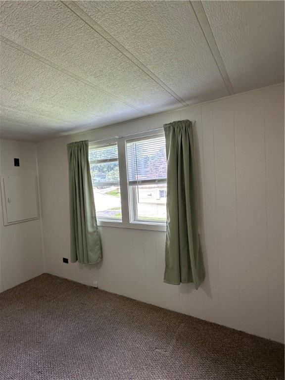 spare room with a textured ceiling and carpet flooring