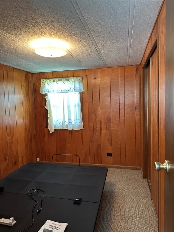 workout room featuring wood walls and carpet floors