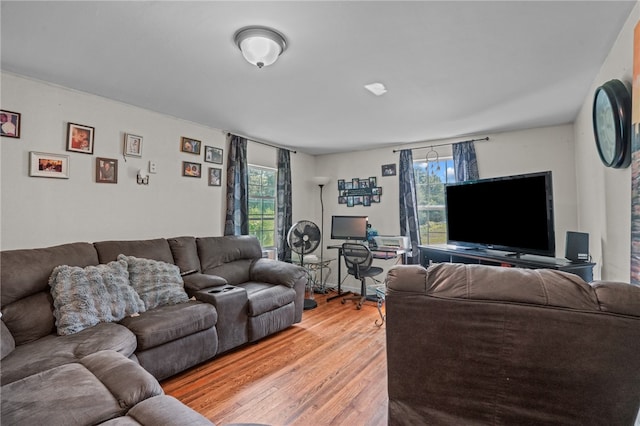 living room with wood-type flooring