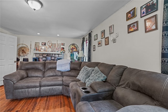 living room featuring wood-type flooring