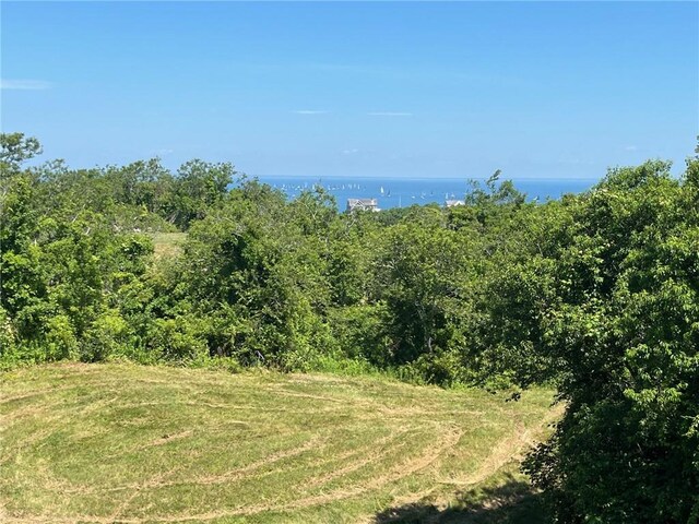 10 Dunn Town Rd, Block Island, RI 02807 - photo 46