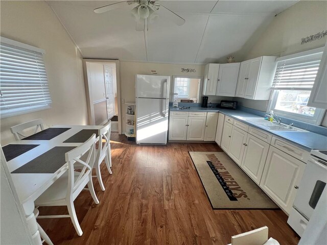 kitchen with vaulted ceiling, wood-type flooring, white appliances, and a healthy amount of sunlight